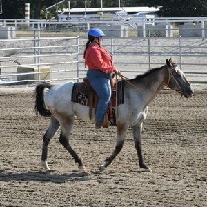 Meet your Posher, Alexandra